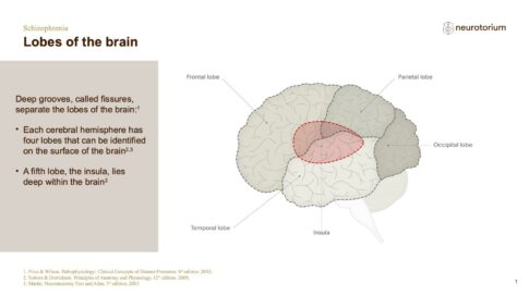 Schizophrenia – Neurobiology and Aetiology – slide 7